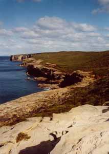 Coastal Cliffs near Marley Head