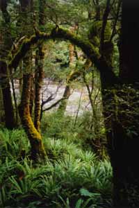 Beautiful scene on the Kepler Track