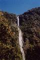 Milford Track